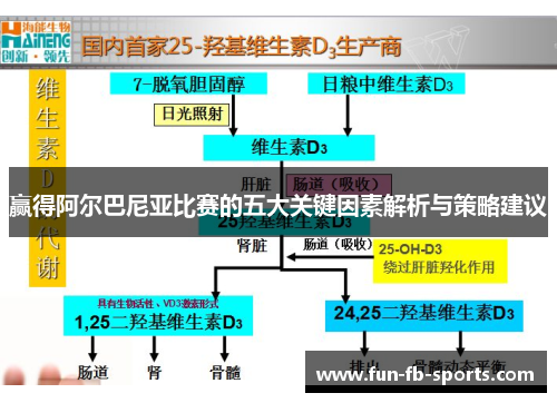 赢得阿尔巴尼亚比赛的五大关键因素解析与策略建议